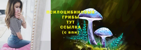 jwh Всеволожск