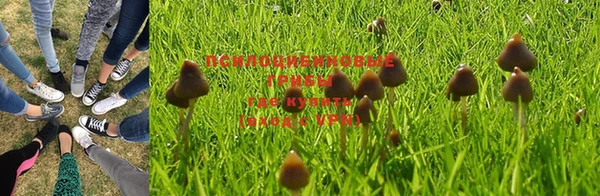тгк Липки
