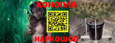 СК Донецк