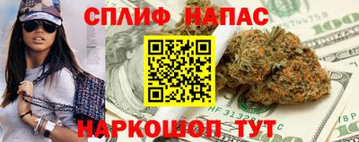 СК Донецк