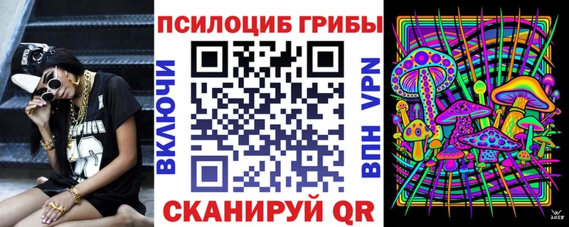 Псилоцибиновые грибы Psilocybe  Мыски 