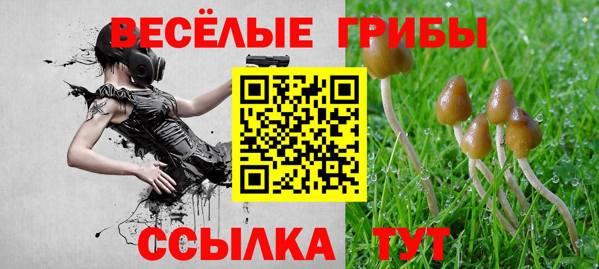 Мыски  Галлюциногенные грибы GOLDEN TEACHER  Галлюциногенные грибы ЛСД  Вход с VPN 